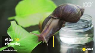 Biotaniqe  Snail Repair Therapy [upl. by Gibert]