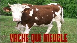 VACHE qui MEUGLE le cri de la VACHE le BRUIT des ANIMAUX SON de la VACHE COW noise MEUH [upl. by Gavan]