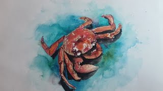 Little Red Crab [upl. by Aldas]