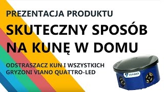 Skuteczny sposób na kunę w domu Jak pozbyć się myszy i szczurów [upl. by Carmine]