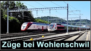 Wunderbare Zugsichtungen bei Wohlenschwil  Kanton Aargau  Schweiz 2024 [upl. by Kennard]