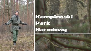 Kampinoski Park Narodowy [upl. by Nnaes]