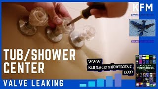 How To Replace Leaking Tub To Shower Diverter Valve Rotation Style [upl. by Ovatsug]