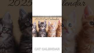 Cat Desktop Calendar Cat Desk Calendar 2025 Desk Calendar Kitten Calendar Cat Calendar Kitty [upl. by Wenn]