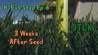 NExt Step Ep 6  3 Weeks After Seeding  901 GreeNe Start amp Rgs [upl. by Einwat203]