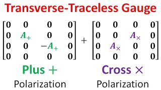 Relativity 109d Gravitational Waves  TransverseTraceless Gauge Plus and Cross Polarizations [upl. by Allina]