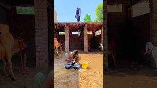 dudh wale ne dudh ke sath milavat kiindia pakistan ytshorts ytviral [upl. by Leuqim]