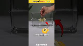 Ye Jadu nahi ✨ Science 😯🧪 hai  Science Experiments shorts shortsfeed viralvideo magic science [upl. by Nnayt]