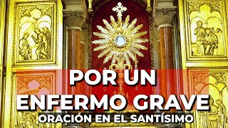 Oración por un Enfermo Grave  15 minutos en el Santísimo [upl. by Nywled]