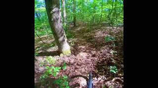 Hobby Park MTB Trail  Winston Salem NC on my Specialized Fuse Expert [upl. by Hanafee]