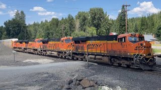 A westbound BNSF powers pass the Lake Cocolalla community 🇺🇸 [upl. by Emrich]