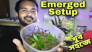 Build Your Own Emersed Plant Setup খুব সহজে আপনার সেটআপ বানিয়ে ফেলুন [upl. by Nwaf963]