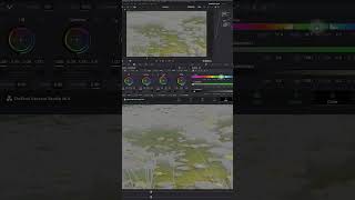 Color Grading Tutorial  Davinci Resolve Tutorial  How to Use Sony Slog Lut  shorts shortvideo [upl. by Canada816]