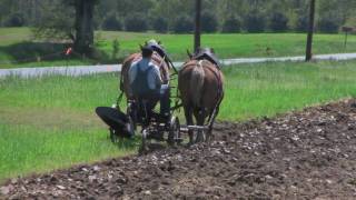 FARMER PLOWING WITH HORSES [upl. by Ondine]