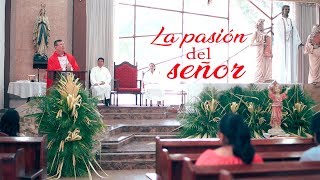 Domingo de ramos 2019  domingo 14 de Abril de 2019  santa misa [upl. by Demaria]