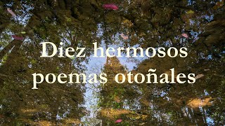 Diez hermosos poemas otoñales [upl. by Yatnoj153]