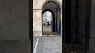 Horse came back after feeling irritated fyp tourist animals kingsguard horseguard history [upl. by Nosyk699]