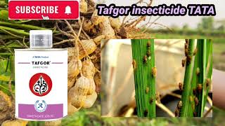 Tafgor insecticides TATA Dimethoate 30 EC [upl. by Jerome]