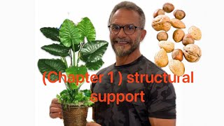 3 secondary biologychapter 1 structural support [upl. by Toni]