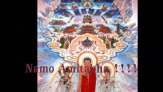 Namo AmituofoNamo Amitabha [upl. by Ayikat]