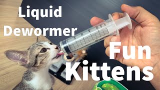 078 Kittens pet care  kittens liquid deworming [upl. by Kcerred]