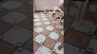 Tiles lover whatsapp status shortsviral vlog shortsviral shortfeed shorts [upl. by Ahsikel]