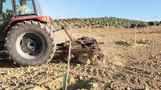 Quitando piedras con tractor [upl. by Ahsakal]