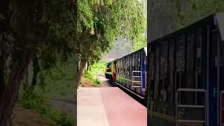 lovedale ooty Railway station ooty shortsvideo dance [upl. by Poland342]