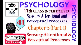 Psychology11thHuman DevelopmentSensory Attentional amp Perceptual ProcessesChap 5Part 1 [upl. by Netfa133]