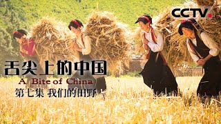 【粤语版】《舌尖上的中國》第一季 A Bite of China EP7 我們的田野【CCTV紀錄】 [upl. by Tirreg]