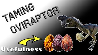 How to tame Oviraptor Ark – Oviraptor abilities – Oviraptor guide Ark Survival Evolved [upl. by Anuahsed909]