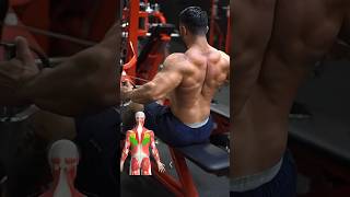 BACK WORKOUT ROUTINE  2 Exercises for a Wider Back [upl. by Philina]