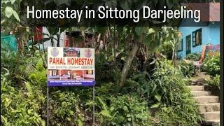 Pahal Homestay in Sittong Darjeeling [upl. by Pare]