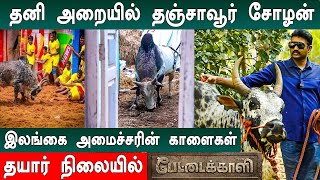 Jallikattuக்கு Pettai Kaali தயார் செந்தில் தொண்டமான் அவர்களின் காளைகள்  Interview [upl. by Aeriela553]