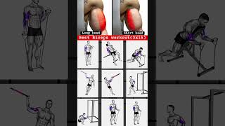 Top 9 Best Biceps Workout with Resistance band bicepsworkout shorts [upl. by Spitzer554]