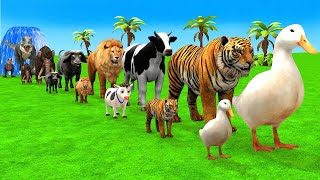 Paint Animals Cow Duck Elephant Tiger Hippo Funny 3d Animal Transformation Crossing Fountain Game [upl. by Sixela908]