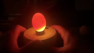 Candling chicken eggs day 11 and 7 [upl. by Idas]