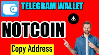 how to copy notcoin wallet address in telegram  notcoin wallet address kaise nikale telegram [upl. by Lichtenfeld]