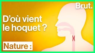 Doù vient le hoquet [upl. by Mosier]