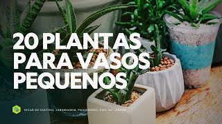 20 PLANTAS para VASOS PEQUENOS [upl. by Tolecnal]