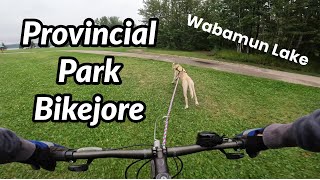 Bikejoring at Wabamun Lake Provincial Park [upl. by Naid739]