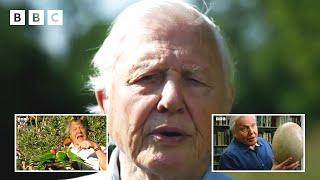 98 years of Sir David Attenborough in 98 seconds ❤️  David Attenboroughs Birthday  BBC [upl. by Caryn965]