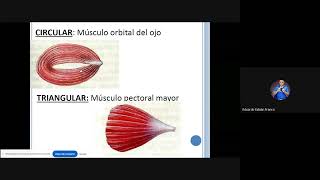 Clase de Tejido Muscular [upl. by Blanka429]