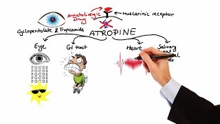 Pharmacology  ANTICHOLINERGIC amp NEUROMUSCULAR BLOCKING AGENTS MADE EASY [upl. by Yeh]