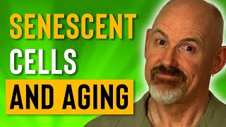 Cellular Senescence and Aging  Slowing Down Aging 2019 [upl. by Gaylord30]