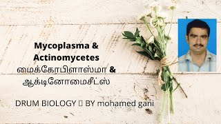 Mycoplasma  Actinomycetes மைக்கோபிளாஸ்மா  ஆக்டினோமைசீட்ஸ் in tamil and English by mohamed gani [upl. by Onibla674]