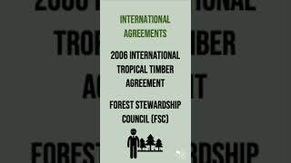 International Rainforest Management Strategies  60 Second Geography on Tropical Rainforests [upl. by Cimbura]