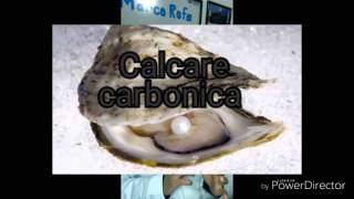 Calcarea carbonica homeopatia [upl. by Amiaj]