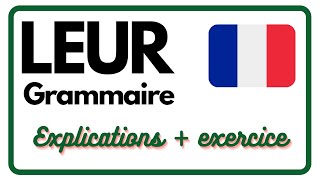 GRAMMAIRE  Comment utiliser LEURs en français ⁉️👨‍🏫 [upl. by Trevar]