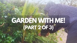 Overwintering Work with me in my UK Tropical Style Garden Part 2 of 3 [upl. by Fugate599]